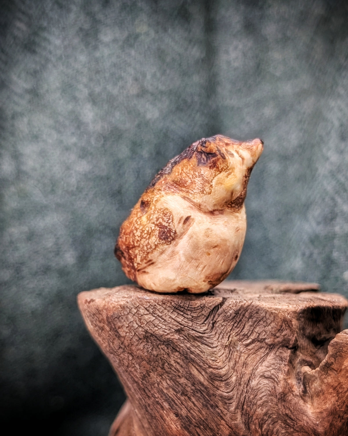 Bubo - Eule - Baumskulptur natürlich gewachsen