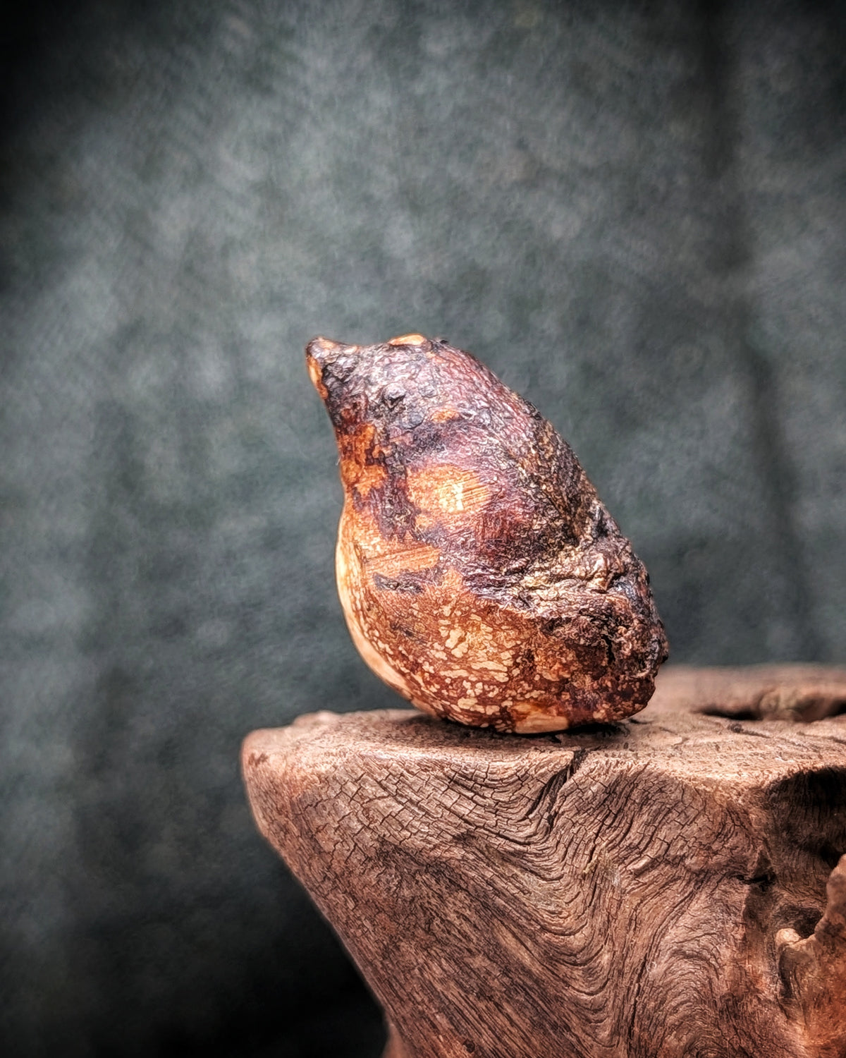 Bubo - Eule - Baumskulptur natürlich gewachsen