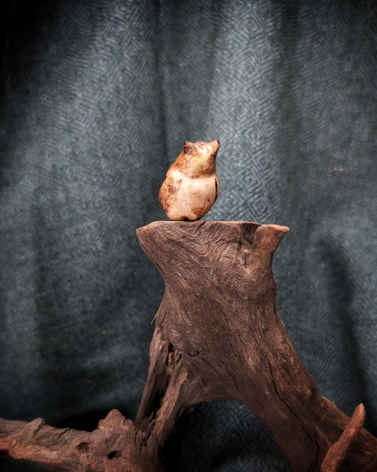 Bubo - Eule - Baumskulptur natürlich gewachsen