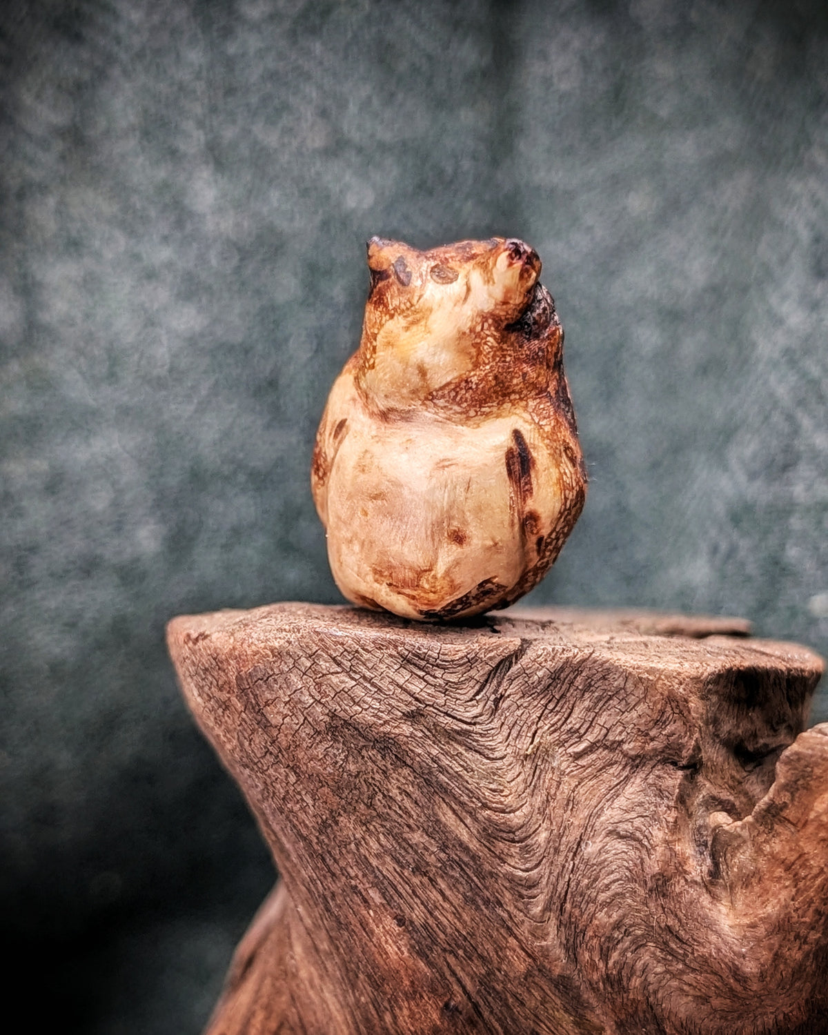 Bubo - Eule - Baumskulptur natürlich gewachsen