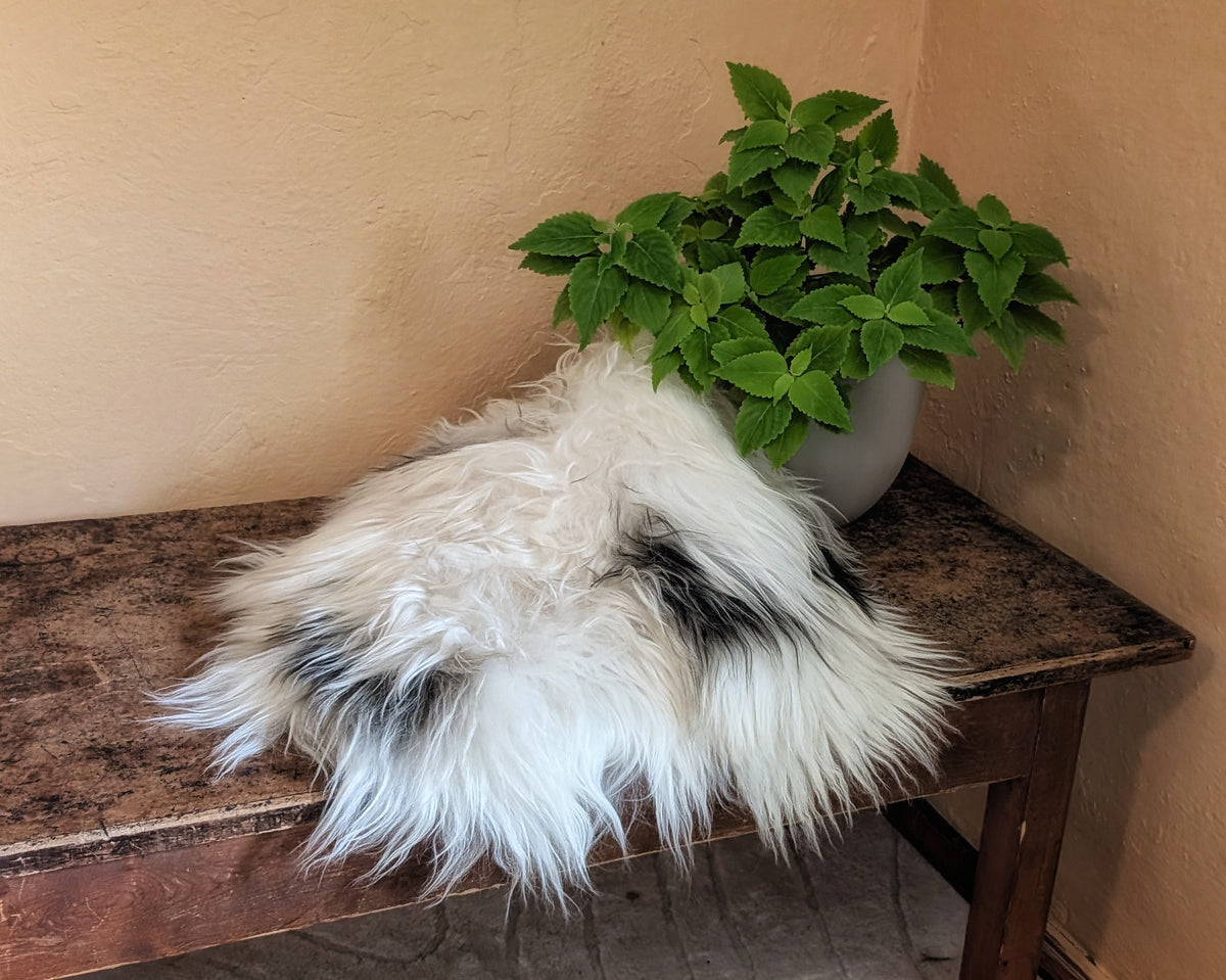Heidschnuckenfell weiß schwarz - Talvi Frigg - weiches Langhaar Schaffell mit Flecken - Deko elegant Skandi Rustikal