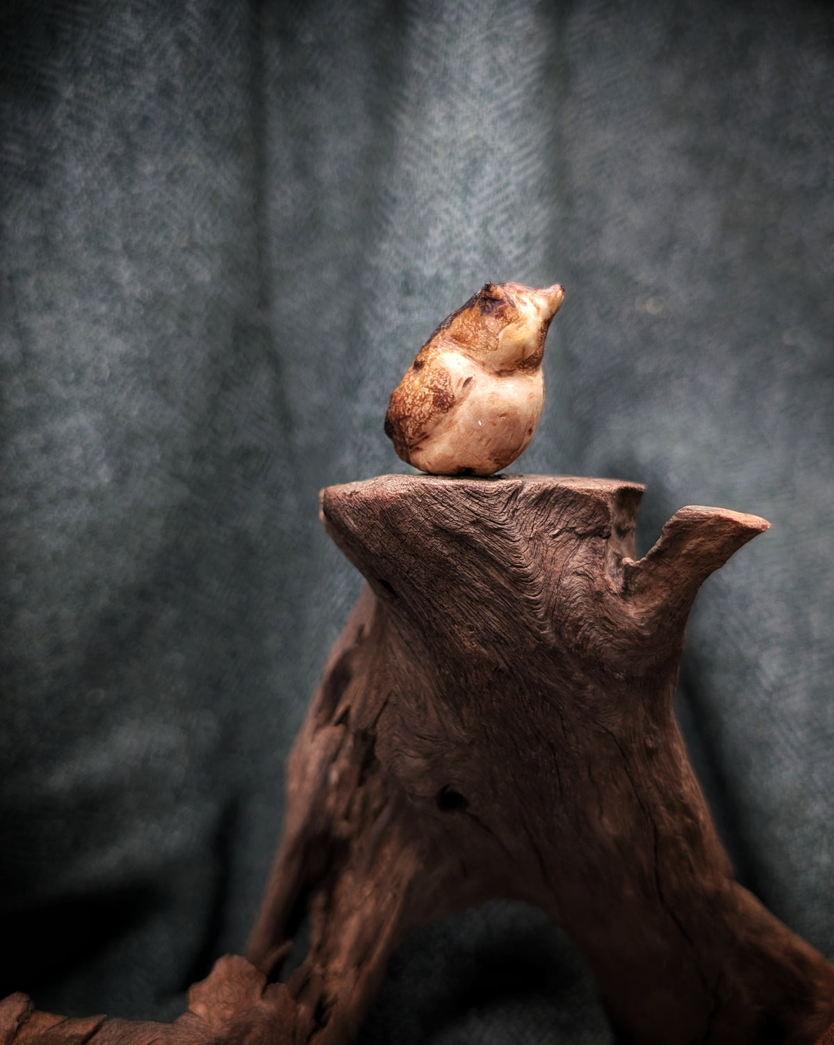 Bubo - Eule - Baumskulptur natürlich gewachsen